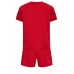 Camisa de time de futebol Dinamarca Replicas 1º Equipamento Infantil Mundo 2022 Manga Curta (+ Calças curtas)